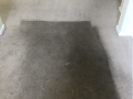 Picture17