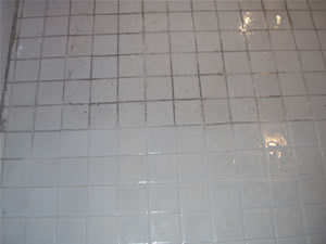 Ceramic Tile Cleaning